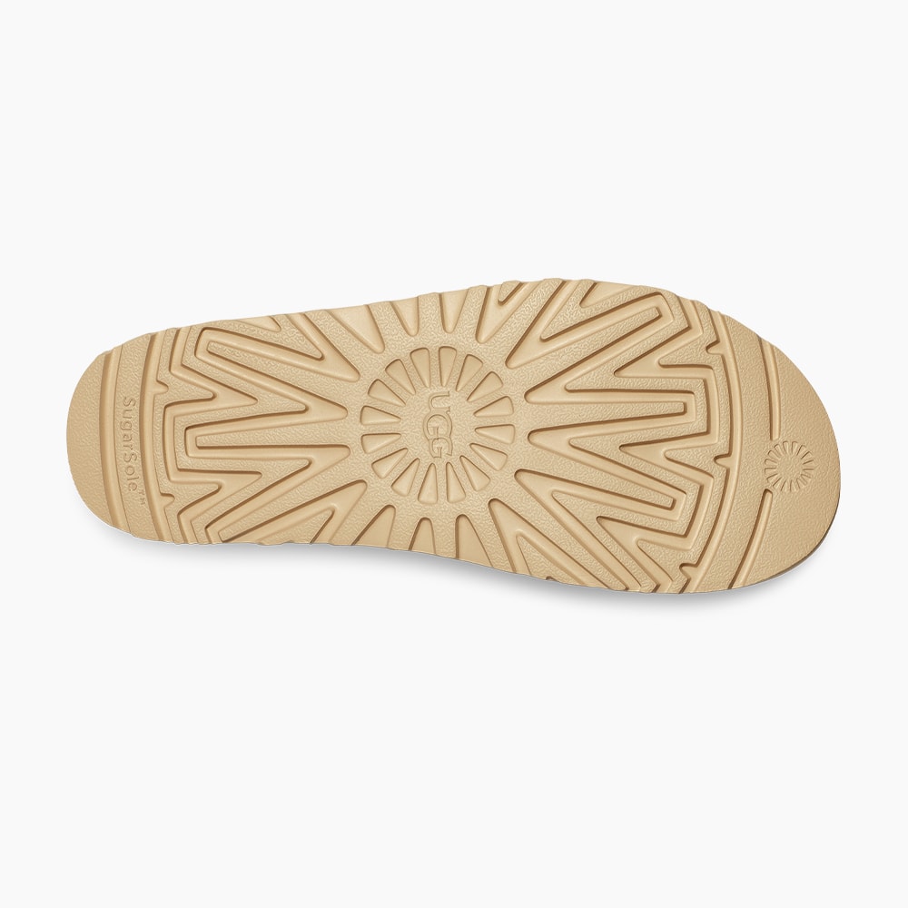 image_373dcaf3-db6c-4b55-869f-2f441b9d37e1