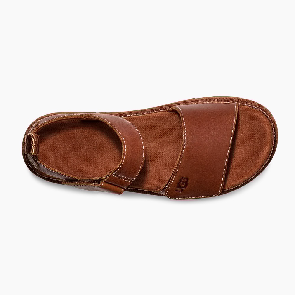 image_20eea21f-9746-49b0-8f24-1859cb68367d