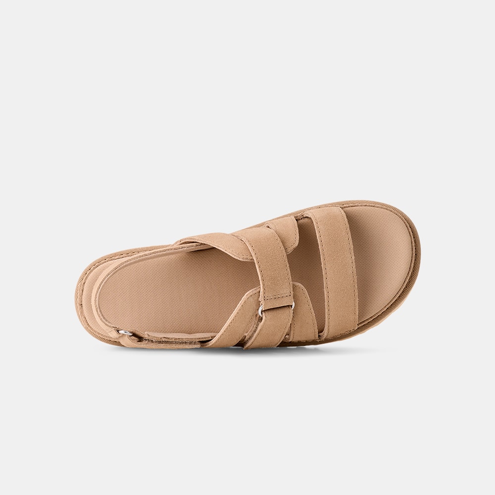 image_32155fc3-b0a2-45dc-9f55-df6d43dcfe6a