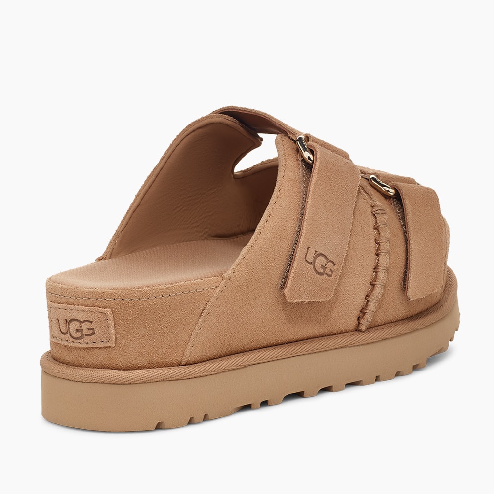 image_b4657179-6634-4472-ac02-42b63ecfbab9