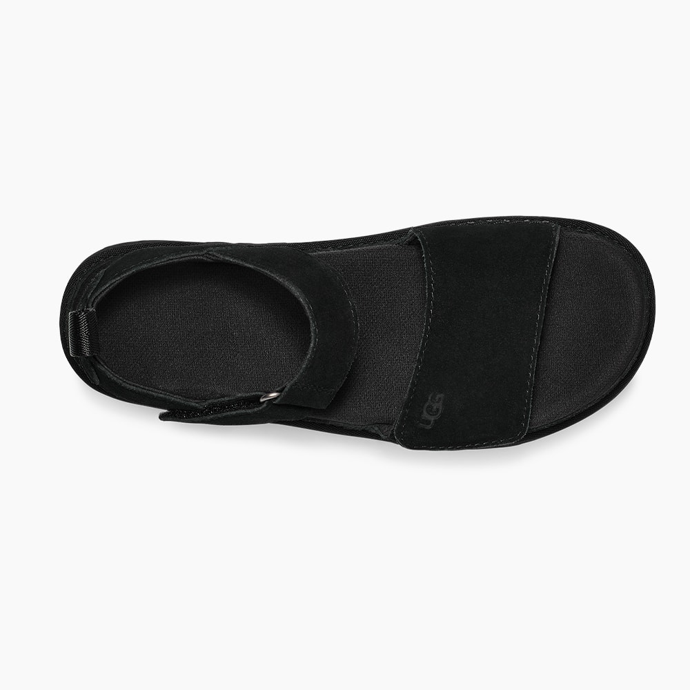 image_148e7966-9885-4c5d-9a3f-596ddebb758b