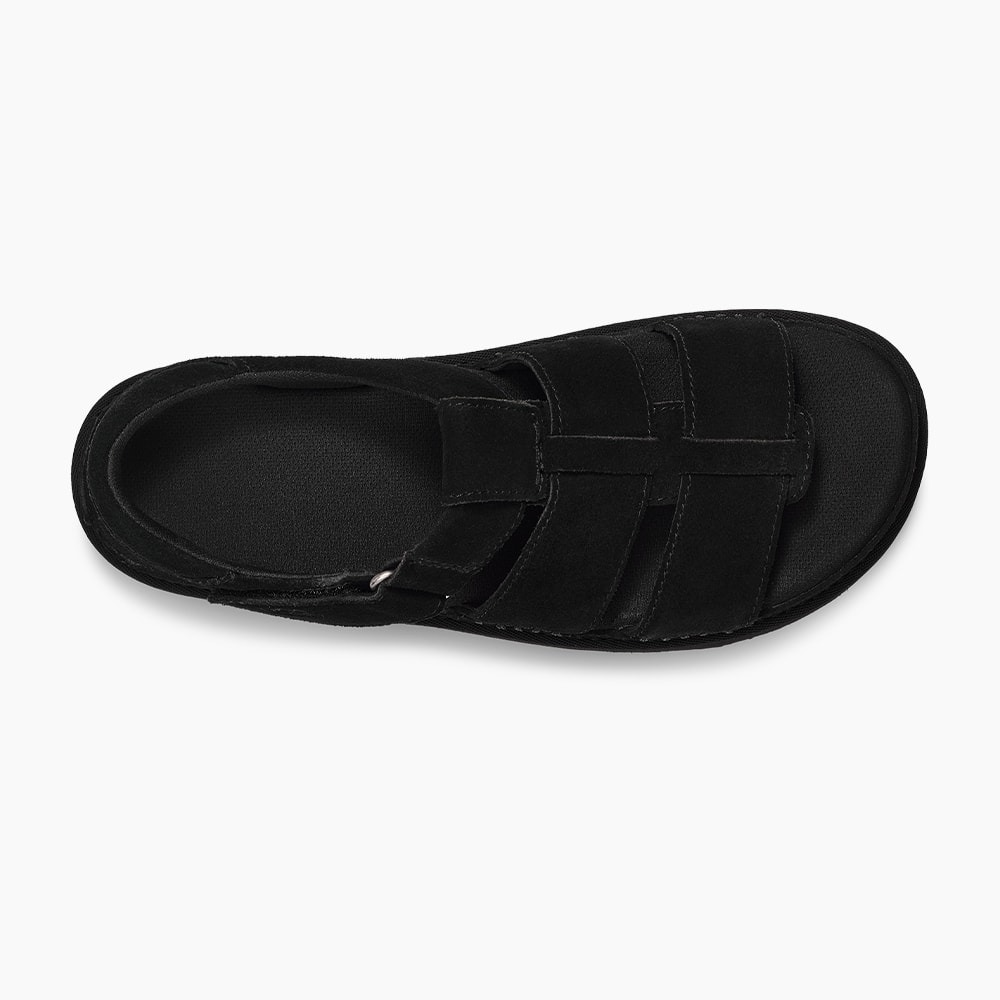 image_bb12f788-b275-4007-a0fe-9927f451b688