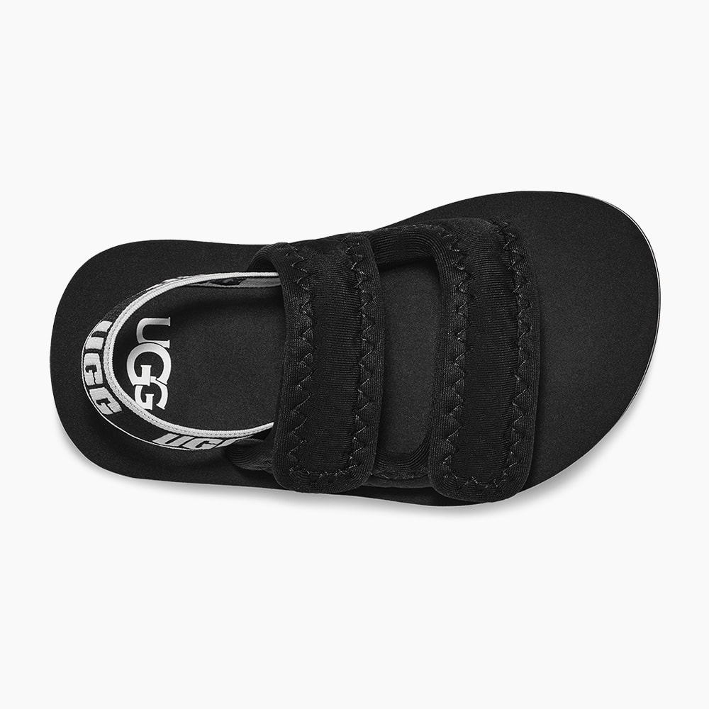 image_90ebedd0-0613-4c45-beec-fbb9daebfd25