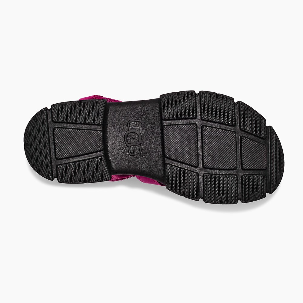 image_b4ff9f4d-110a-4838-86c6-37869af25905