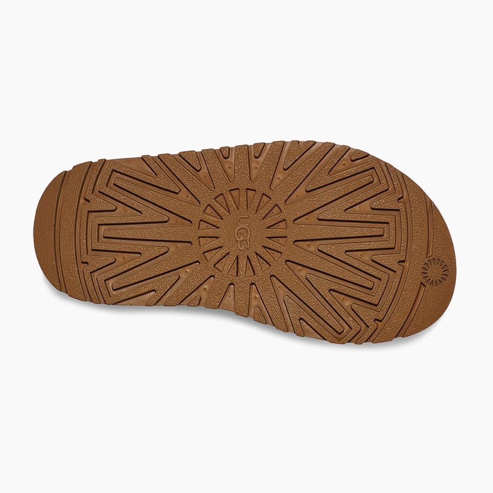 image_479ce804-fd0b-4b4b-8a21-6f5492c56501