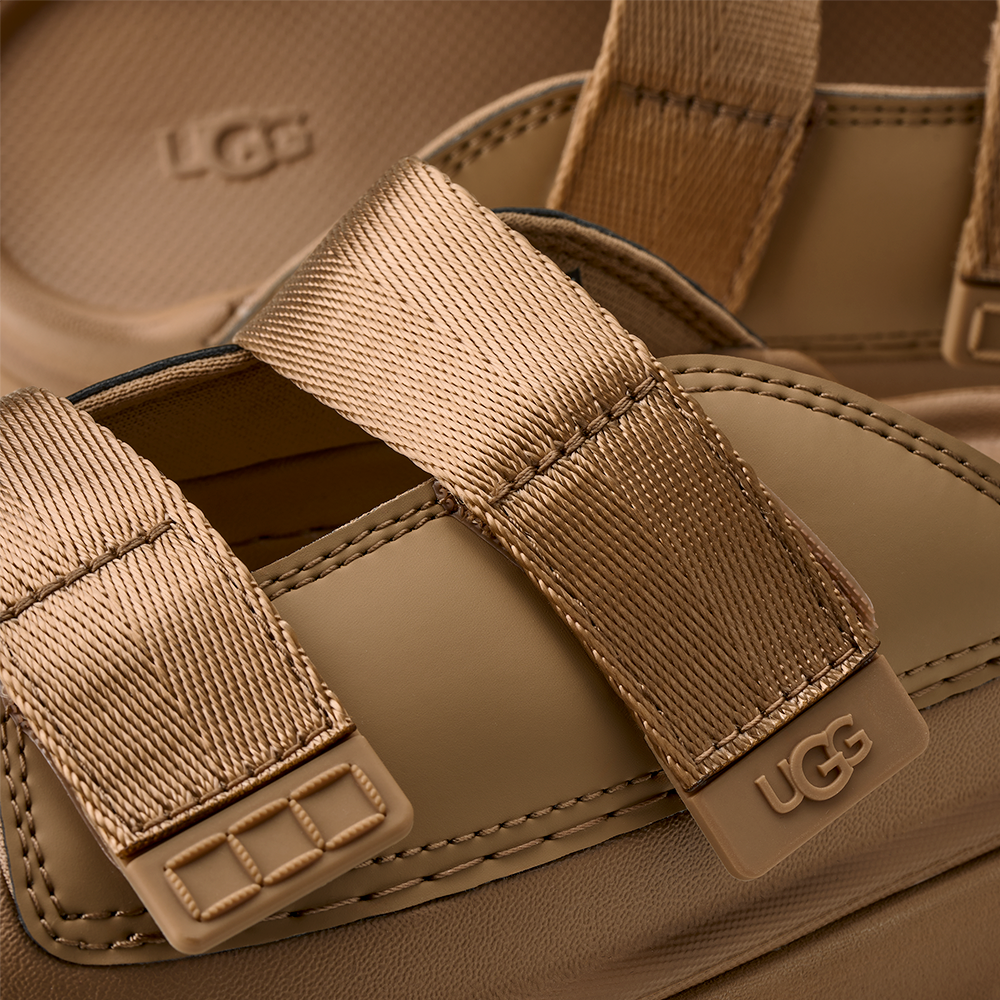 image_dbef7046-3f2b-4da9-8eb8-ef7a8ea6469b