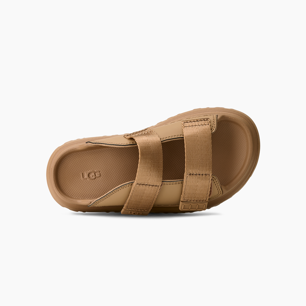 image_e858c022-3c47-4259-9933-23e5f720a3f1