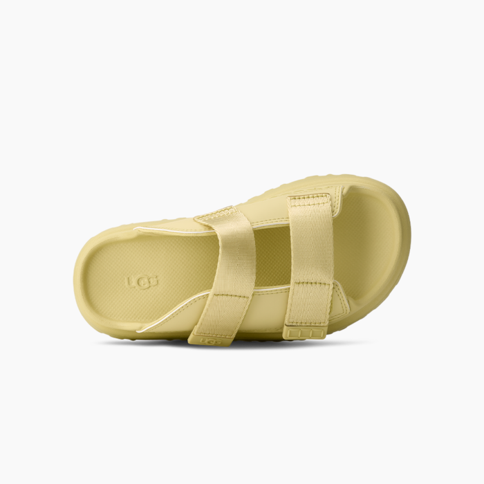 image_1b03b38f-648d-4a40-91d4-d06ca163f005