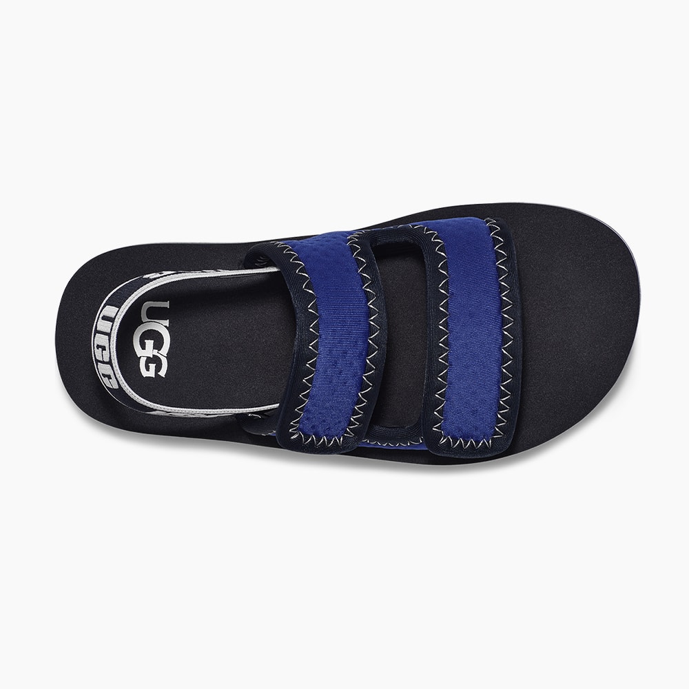 image_96a35842-82c9-451b-98ec-536a0834d823