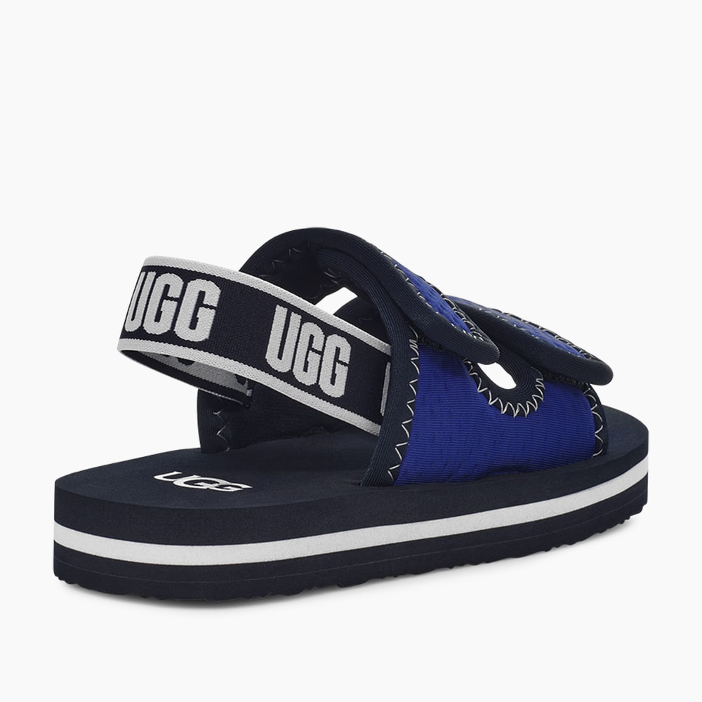 image_50b83996-741c-483d-b6eb-e5661a599d78