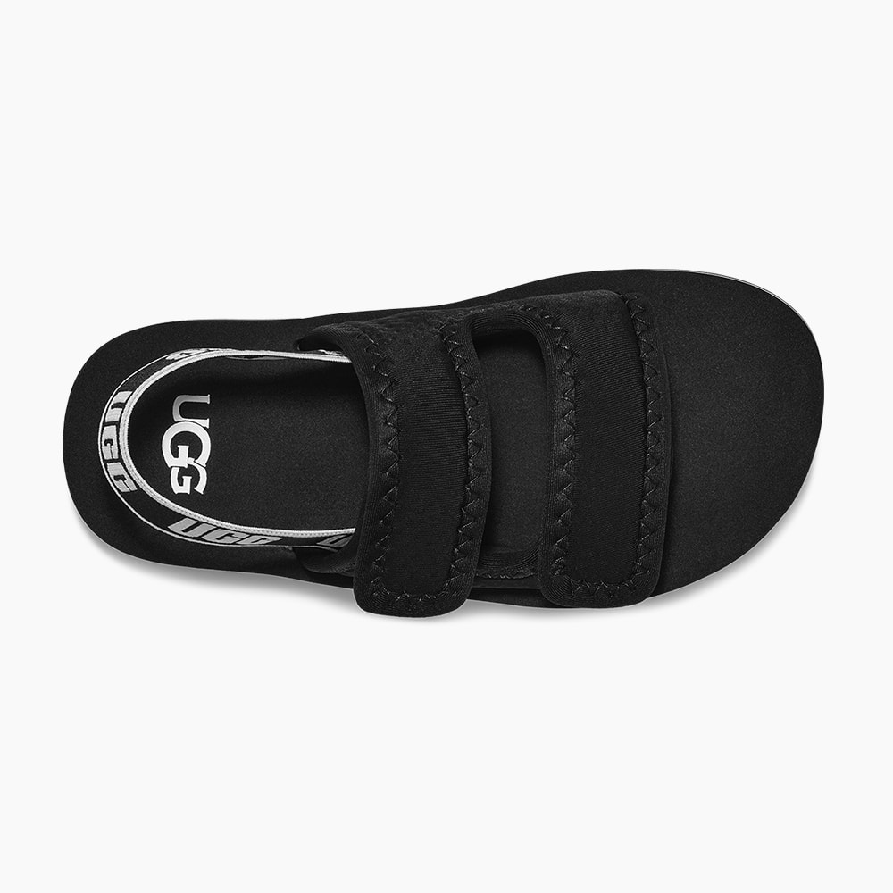 image_c8b1ebd3-07ea-4abe-9599-6a4a9611e2cc