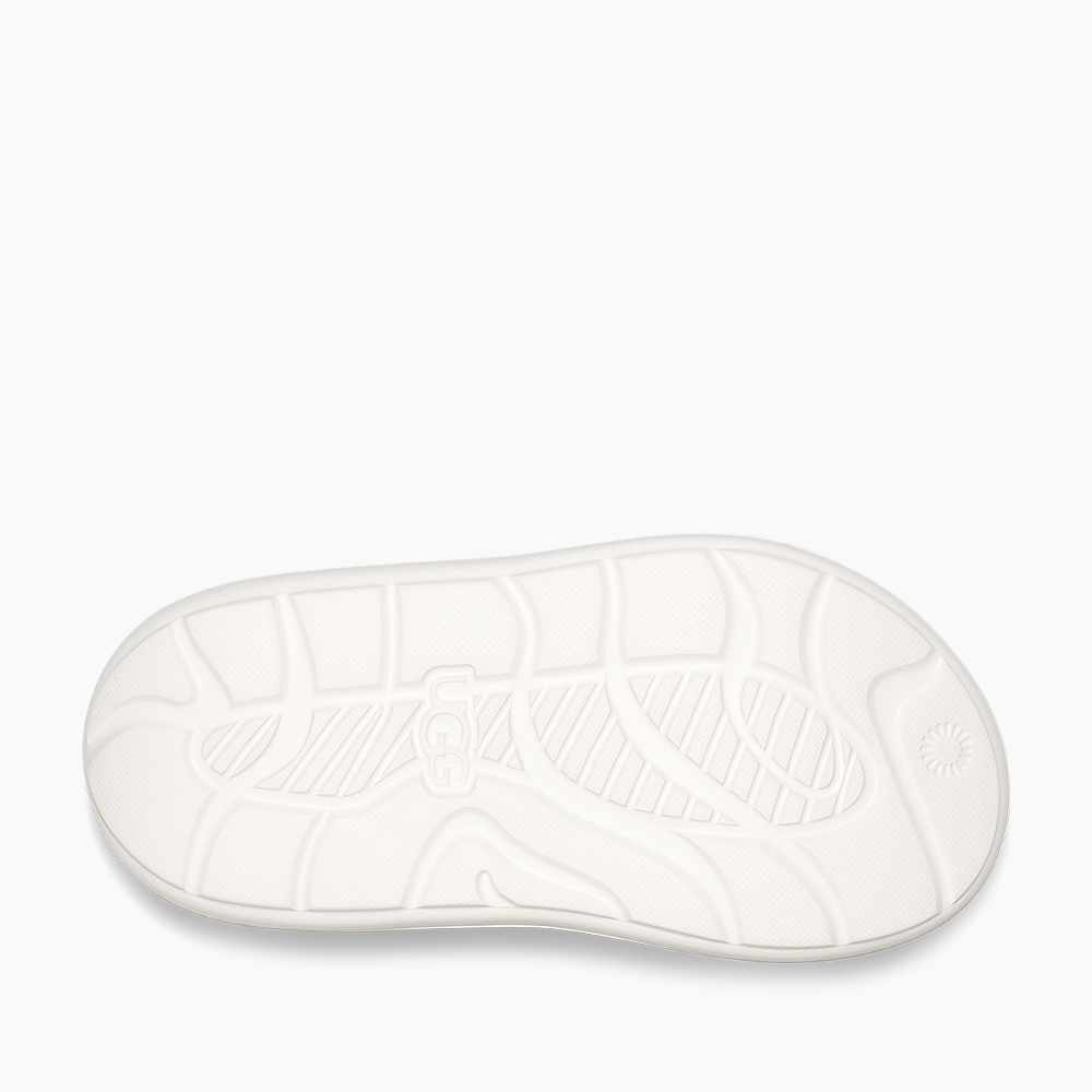 image_4955ac9f-dc09-445f-8541-9a8fcc9a5e37