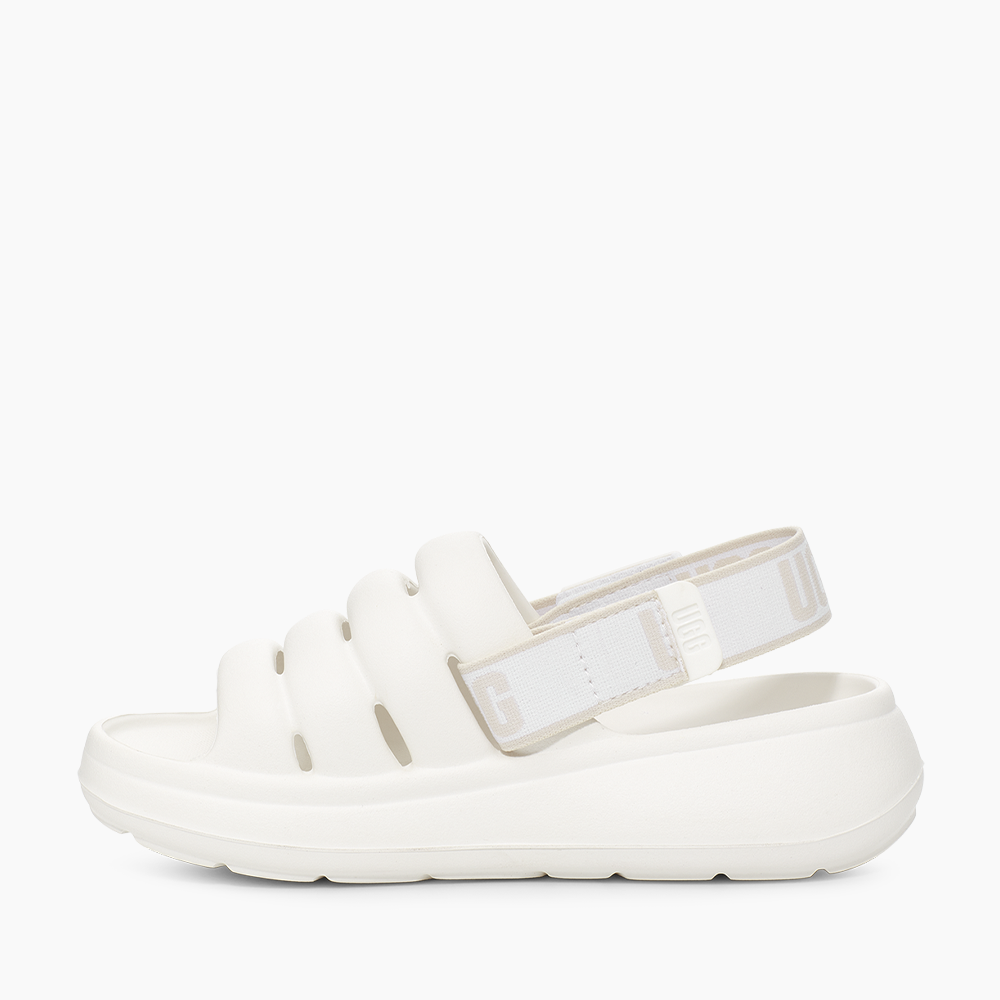 image_958e6545-9bf6-43d7-b3e6-6dbd09ff547d