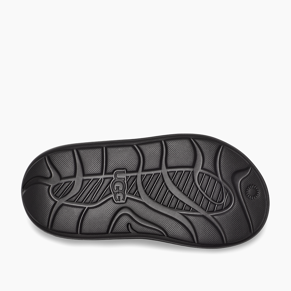 image_e07ec527-3f06-431f-a756-0dc447771596