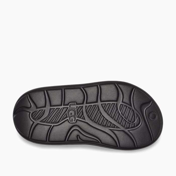 image_25fc4513-0314-4068-9ceb-e3256769b721