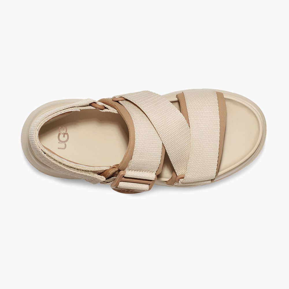 image_0038a6a7-ce6a-4653-b83b-e5e62488e569