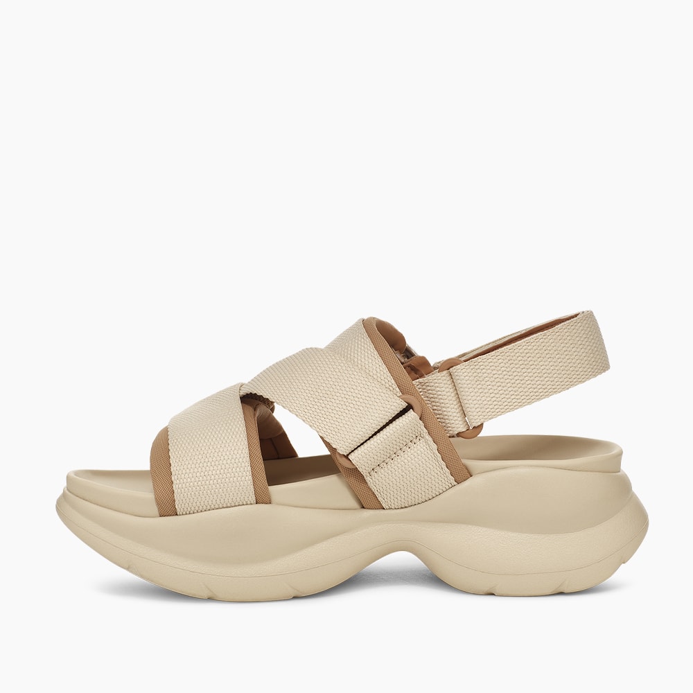 image_29f24345-3265-4df1-aa31-219d92ba46f8