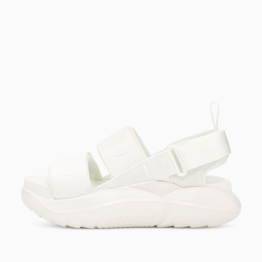 image_0d7b7b4d-2148-49a0-9e45-fbcb0c6e3cc2