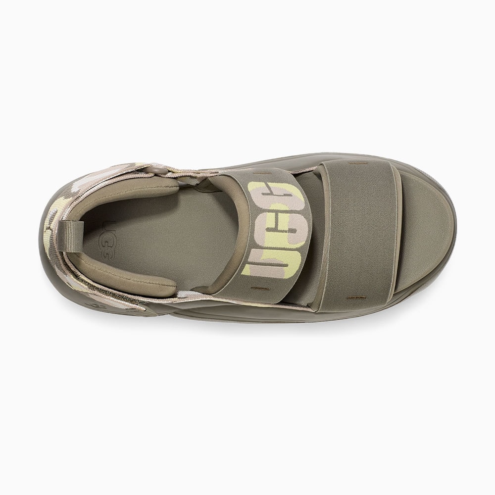 image_310391ab-ae92-421a-9c0c-ae4e3cddcc01