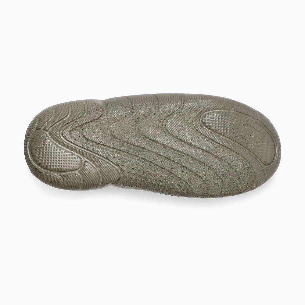 image_e0648c1f-ce91-4a54-844b-712cee6a925c