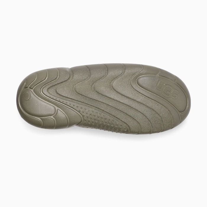 image_eb2371b0-1772-42d4-bc0d-6db2816892ad