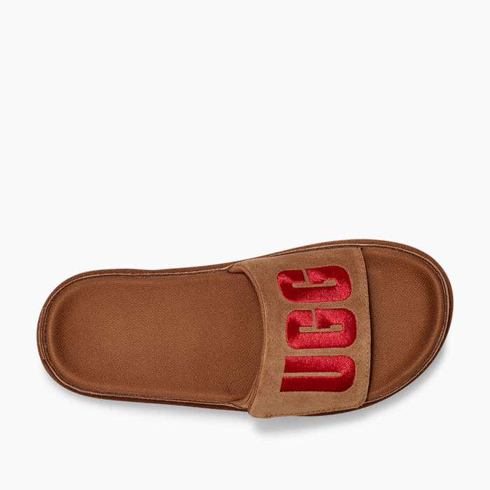 image_36e73acf-a500-4d41-8413-06393838effa