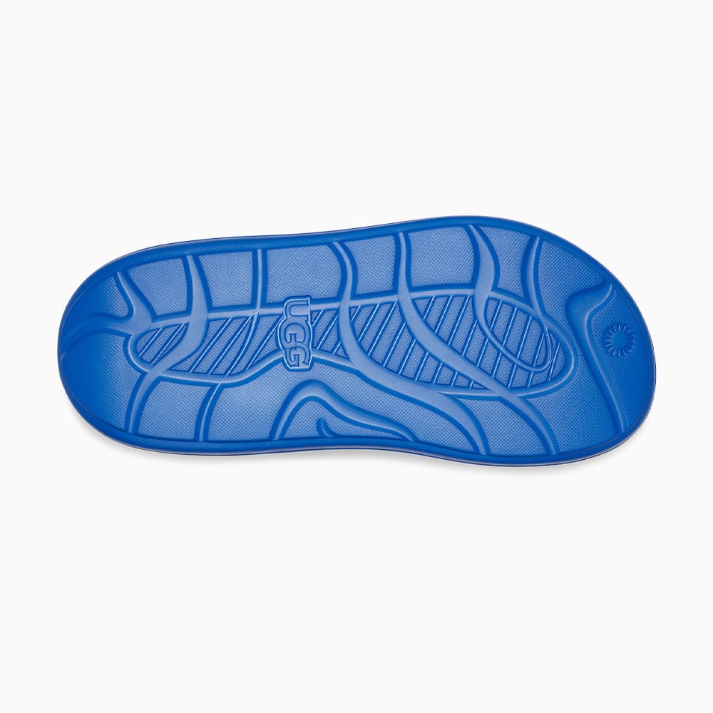 image_33c35160-b179-433c-b357-614a3450e327