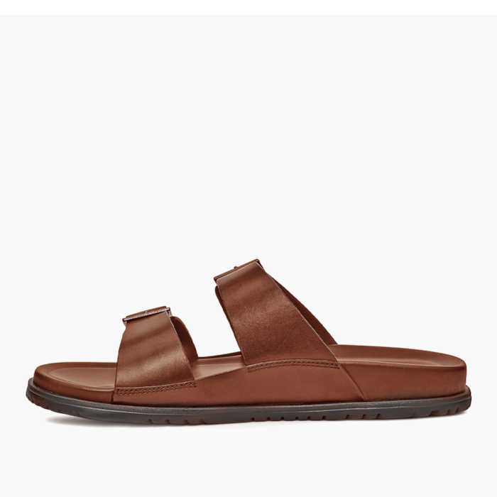 image_a02ea2d9-48b7-47a5-b308-8334e7a6def2