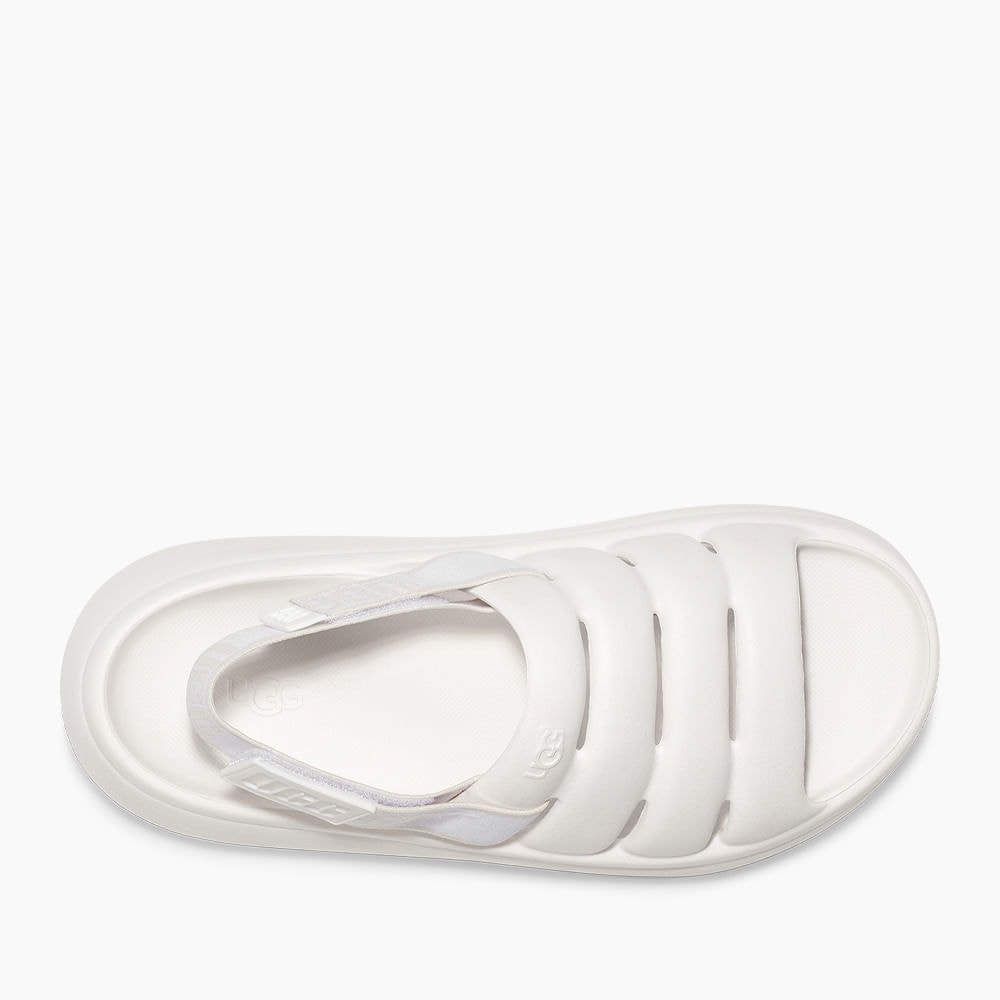 image_bcf7c500-8811-41de-9261-670b8018217b