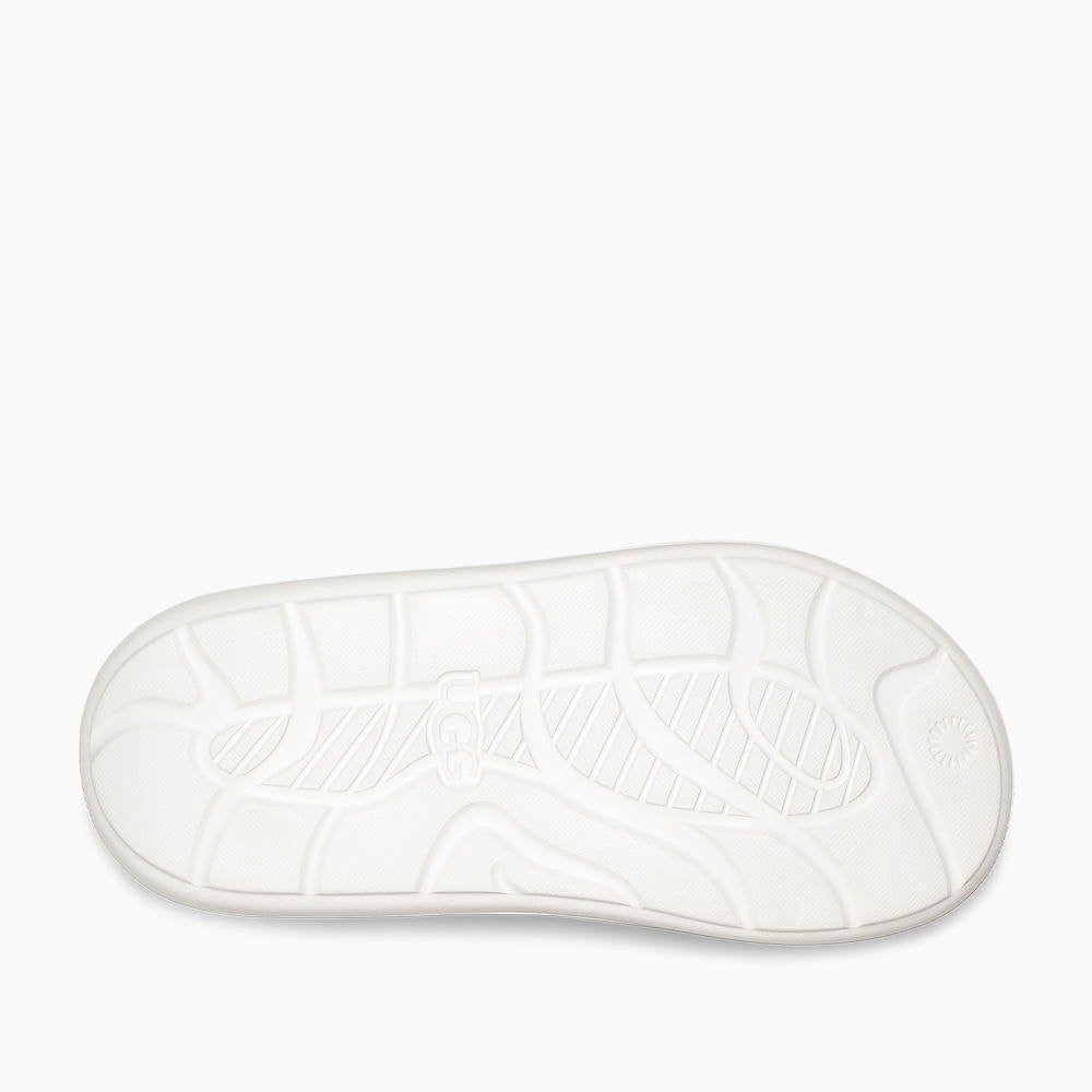 image_96833729-2884-460e-9024-827e792a9122