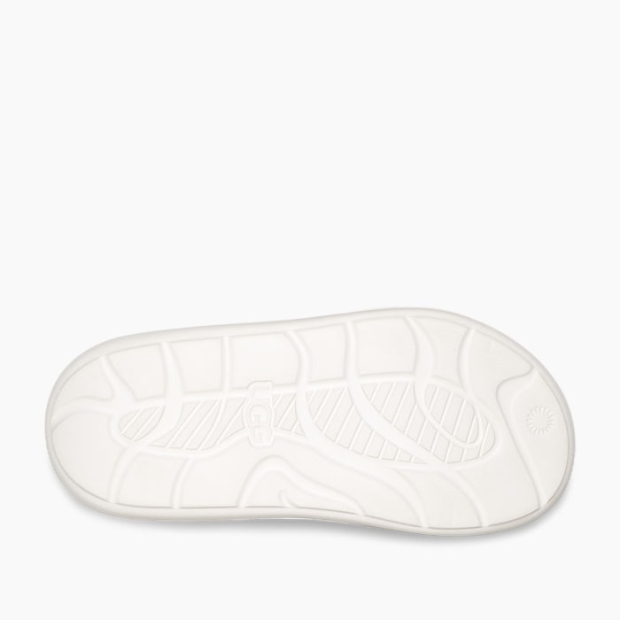 image_3337ee85-2cb4-4f24-a26d-a43deec160e9