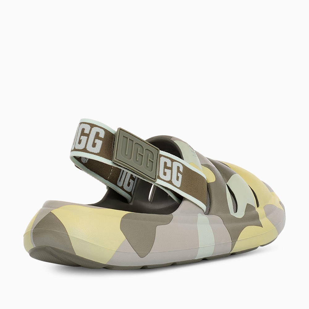 image_f70ae3f3-e114-49c4-aa56-47198d6d4da9