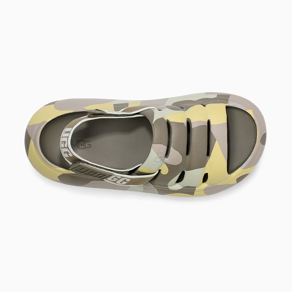 image_449df796-6cb0-4eb8-a76a-2d2efdbedbe8