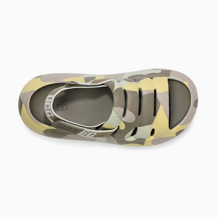 image_8f1f04ba-9e56-4f4f-a010-6e456ce55947