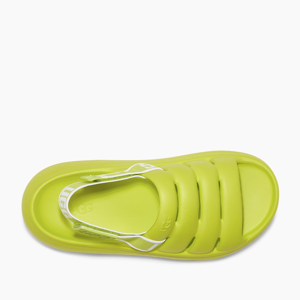 image_277222a4-aa23-483e-97cb-26dfd54fea0a