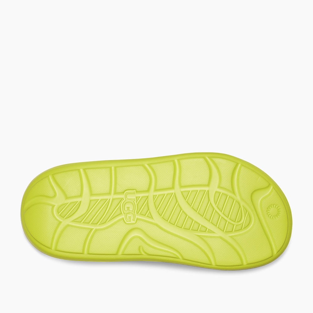 image_658e667d-5876-4f99-bfe4-54bf2287e904