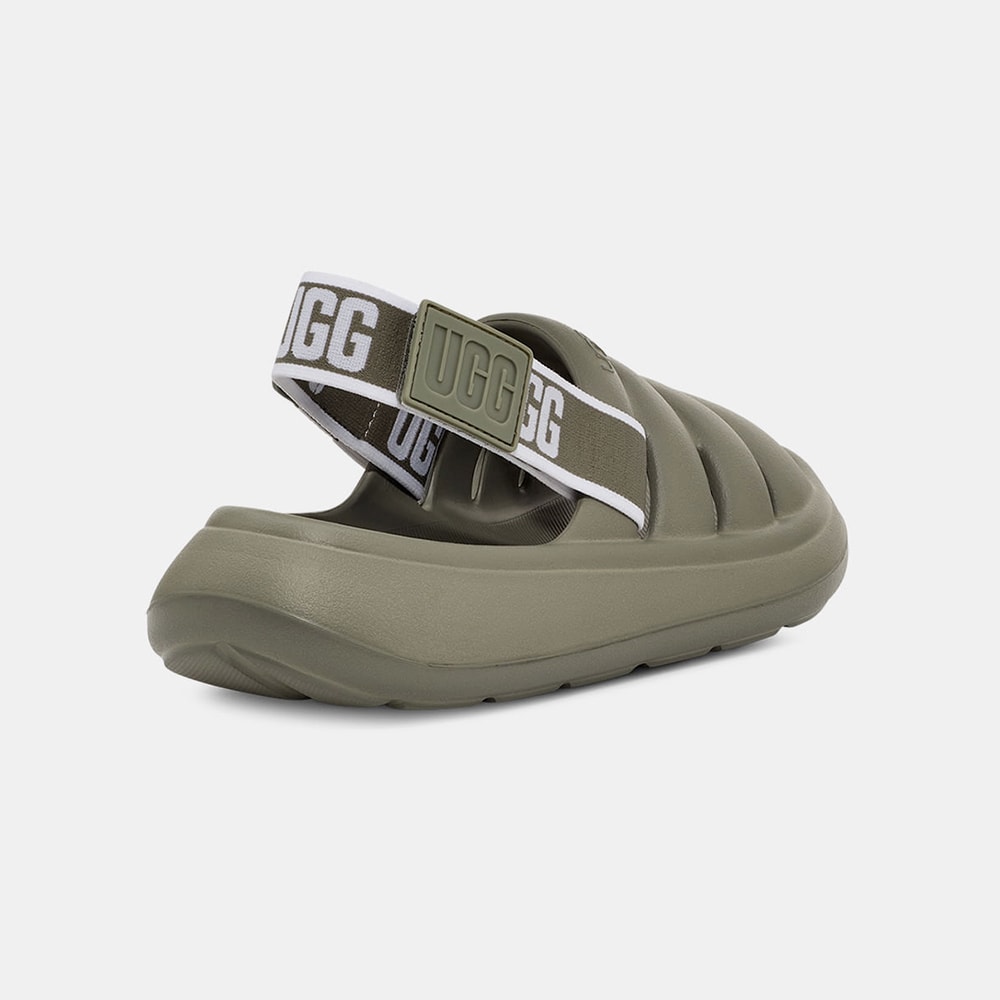 image_17dd6080-7786-44c2-b53e-06be35bc81ad