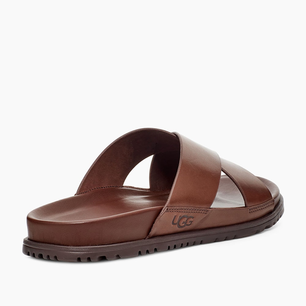 image_56429653-098f-440f-b28f-1acc918af1bc