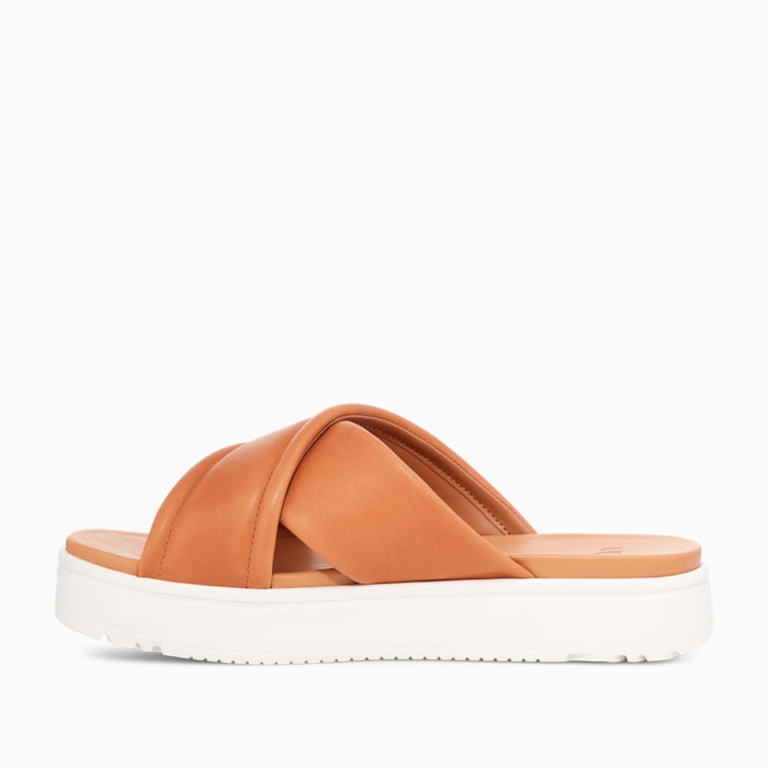 image_e448e862-ba70-4ff2-9256-271a5afcf6d6