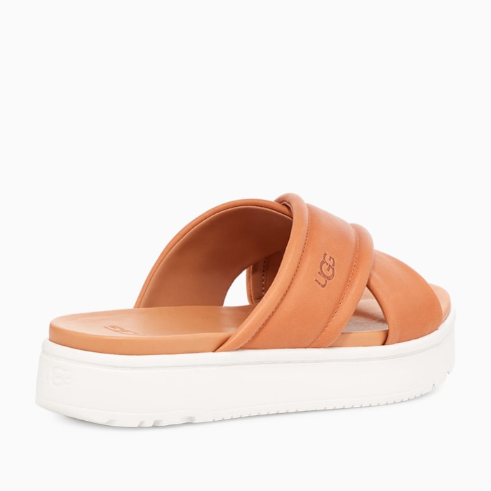 image_0609fce7-1073-4356-ba9f-cd3f4ca674ca