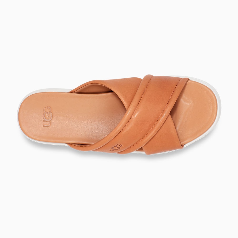 image_3db9bf30-b3f9-4e76-83e6-578a7c28e271