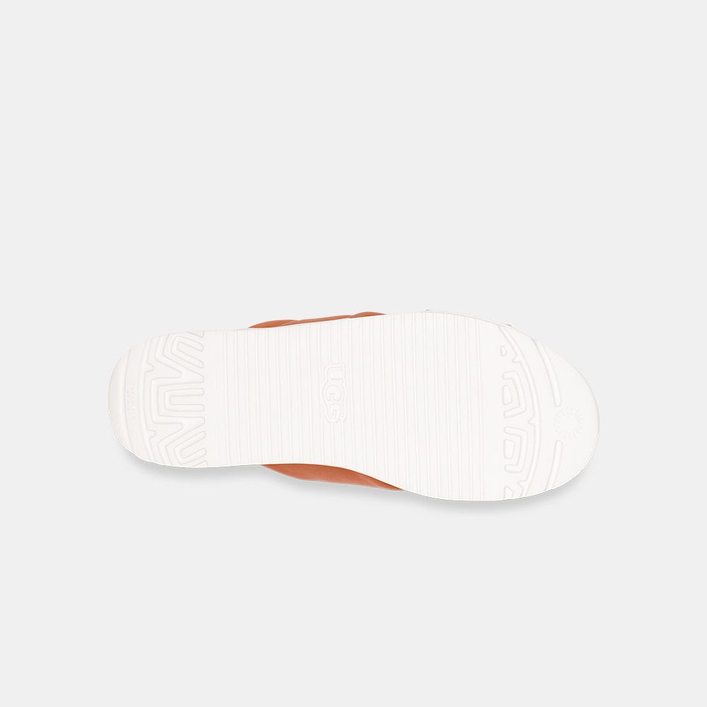 image_0edc9808-190d-4ae0-9d7a-68cc20ddd16d