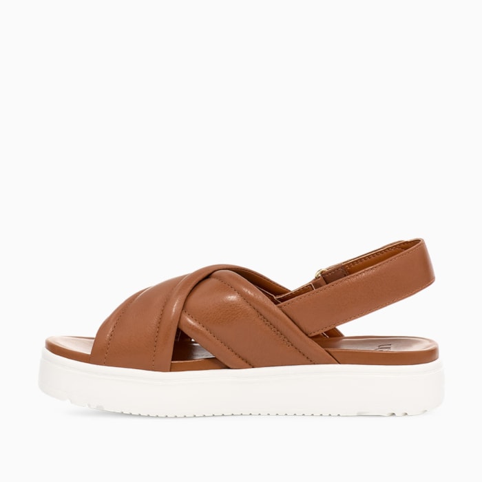 image_8f8d067c-f884-4595-a1aa-2777b21bb99f