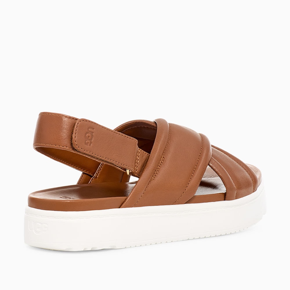 image_c9febe3d-9fda-40db-9489-2d90dede7063