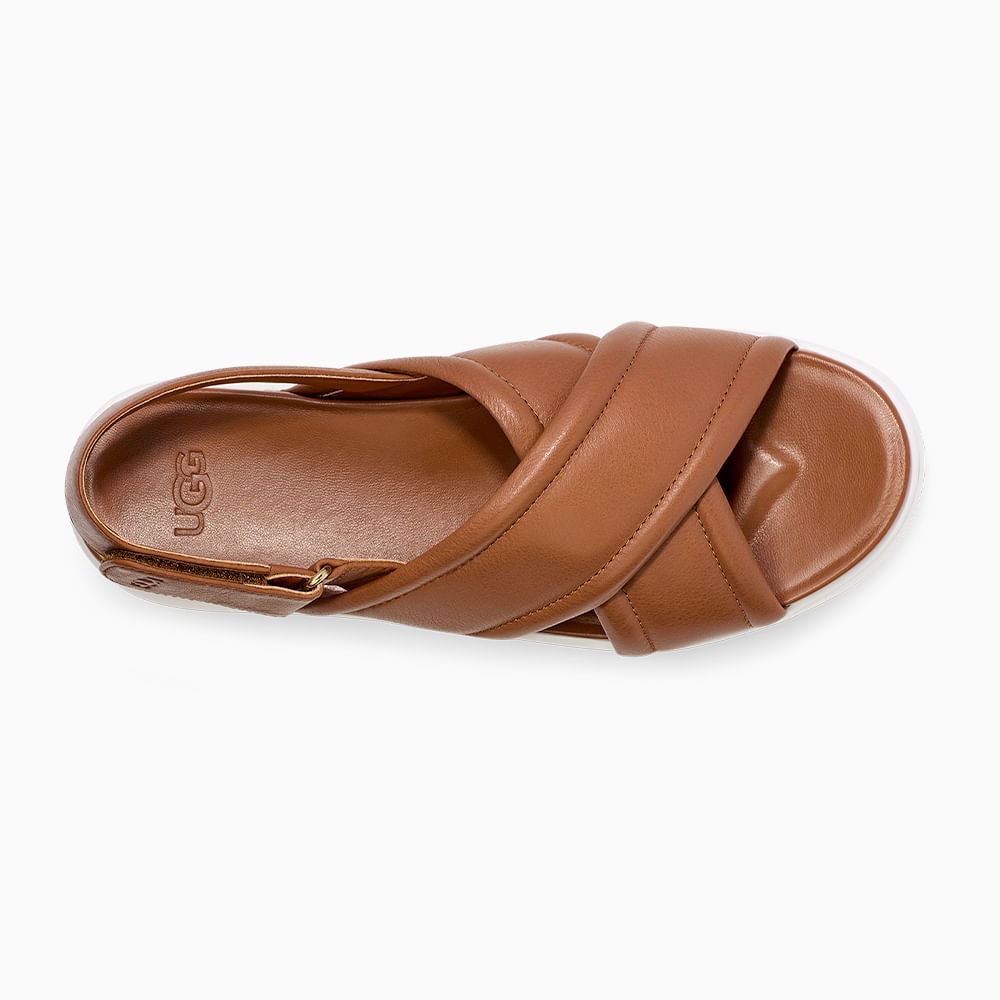 image_60e33b16-d26a-4fe3-8c92-e52df30d355f