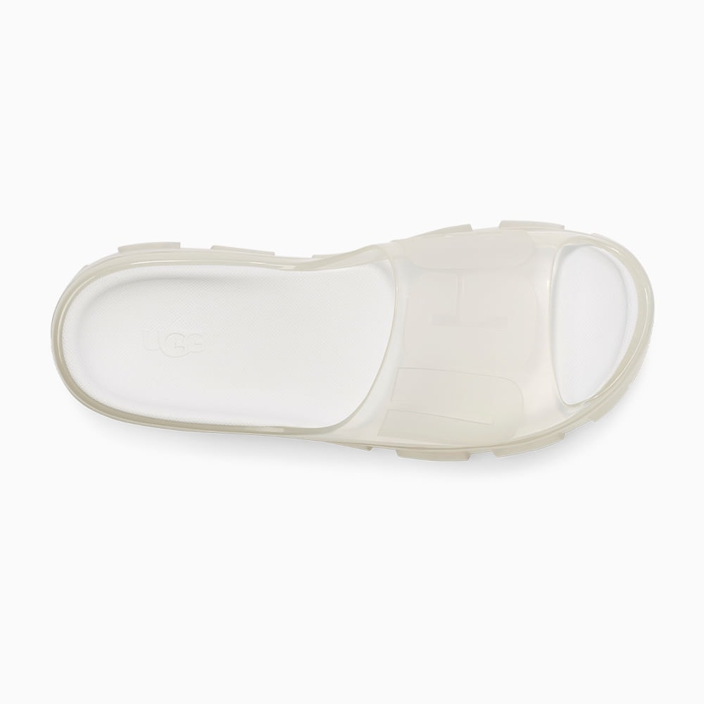 image_06ec34e6-d2b8-4030-bd8a-1fdf9a3b5e2d