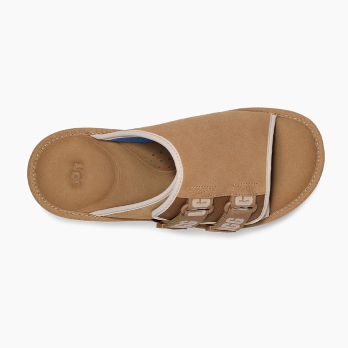 image_1b4b0a30-045a-4df0-ab81-ff495549ecb9