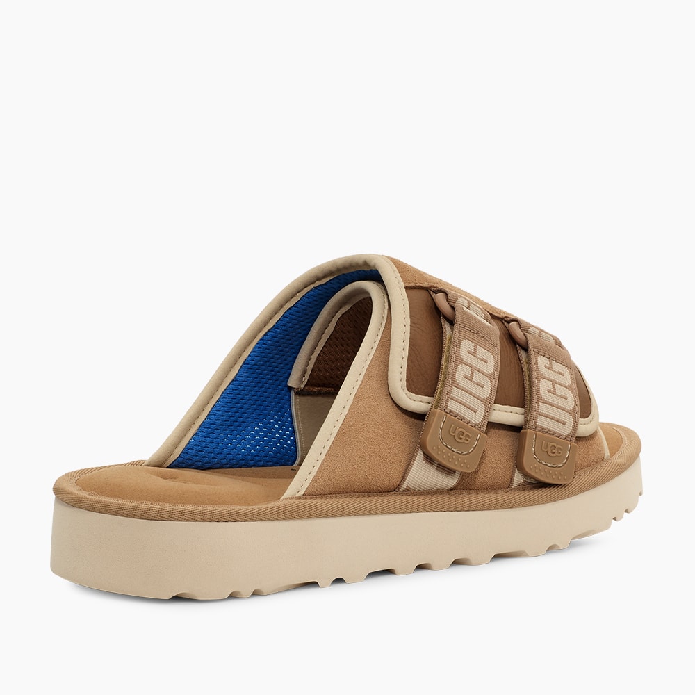 image_db7b1e47-5802-4ff0-9979-d236219c9f44