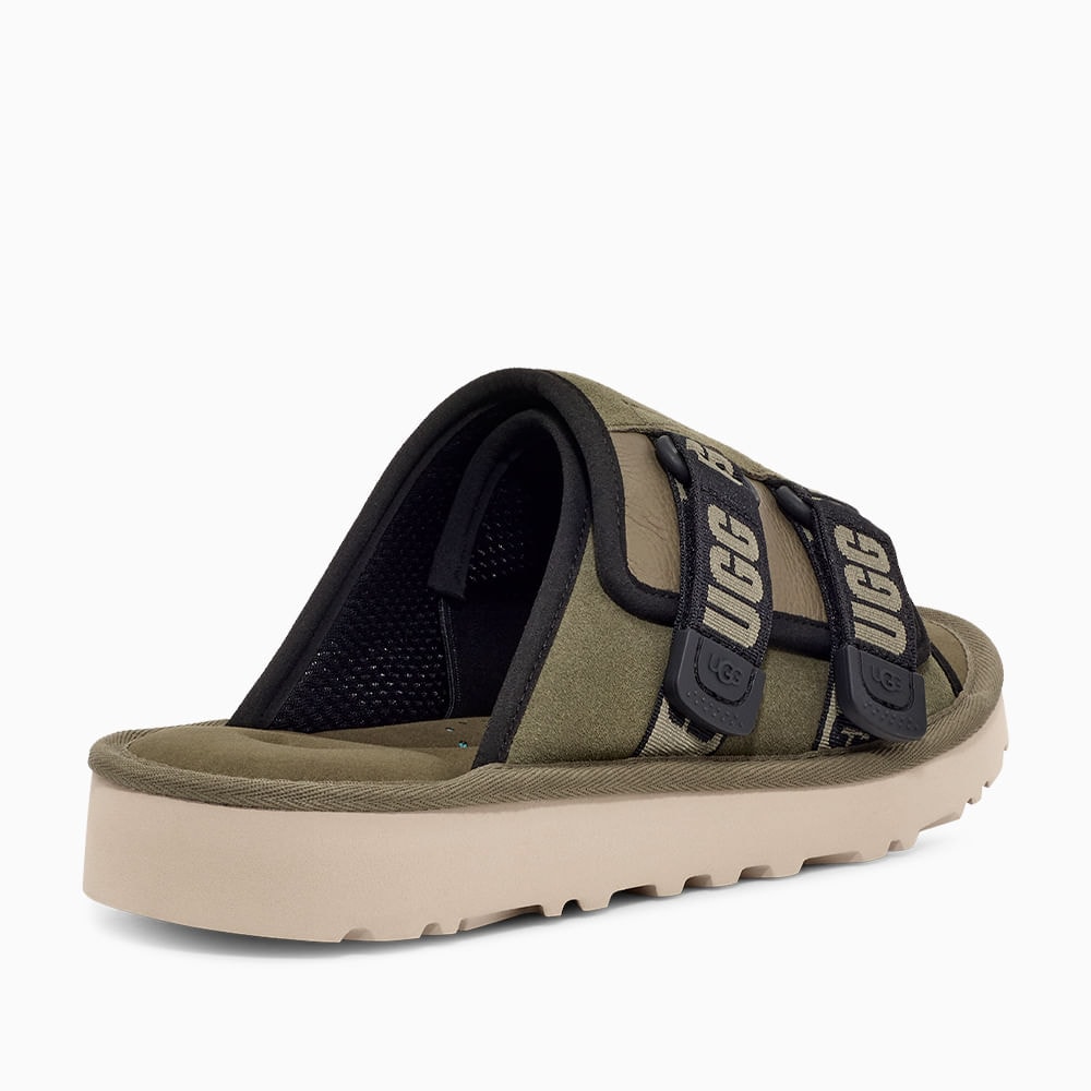 image_cfb45055-068c-41ed-811c-bf2b9082a7df