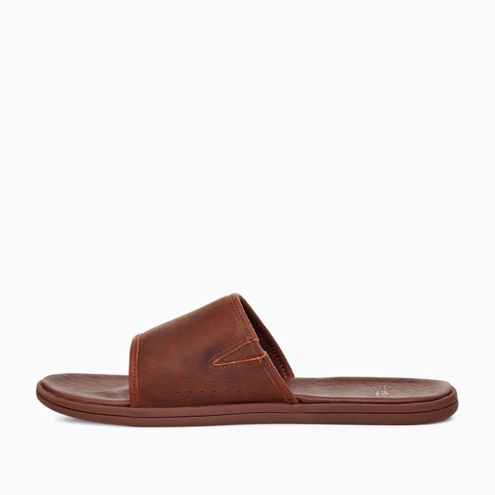 image_dc52ef5d-066f-46e2-942c-1826ee6d9f5c